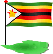 Zimbabwe - Observations on the Mid-Term Fiscal Policy review