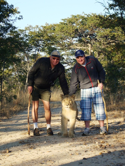 With a lion cub