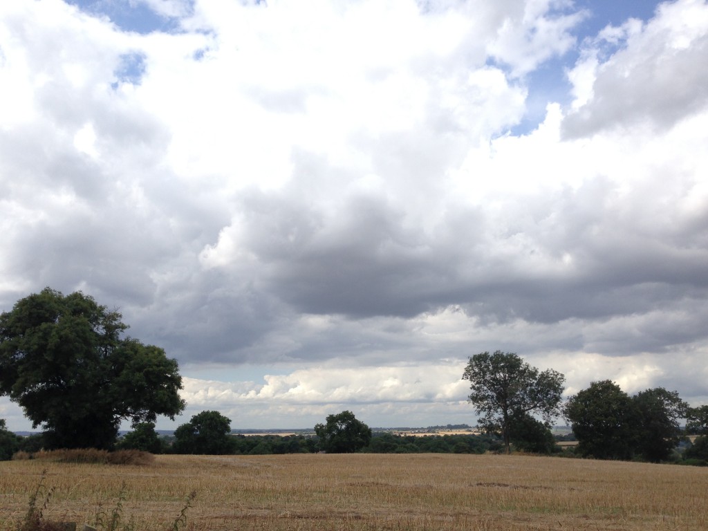 Bosworth Hill view