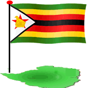 Zimbabwe - Observations on the Mid-Term Fiscal Policy review Zimbabwe - Observations on the Mid-Term Fiscal Policy review