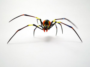 orb-weaver